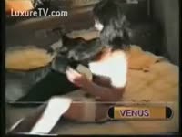 Horny housewife receives screwed by the family dog